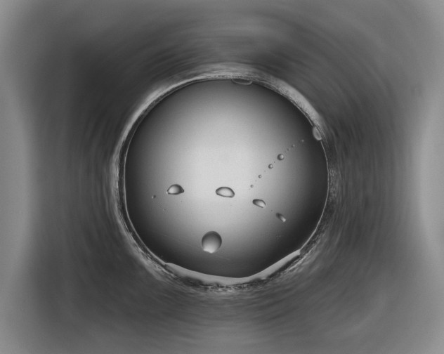 X0000116551099200912171344