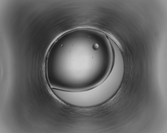 X0000116551100200912171344