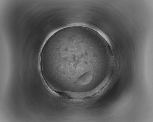 X0000116551102200912171344