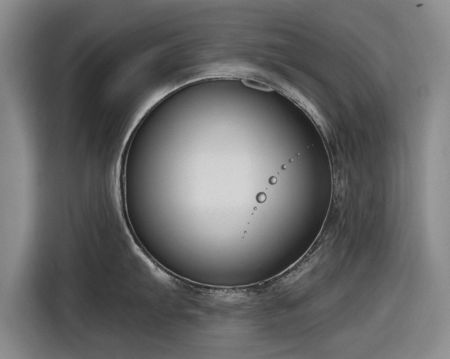 X0000116551103200912171344