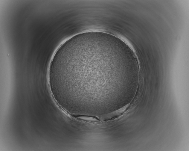 X0000116551104200912171344