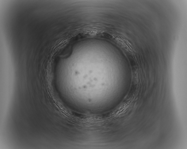 X0000116551105200912171343