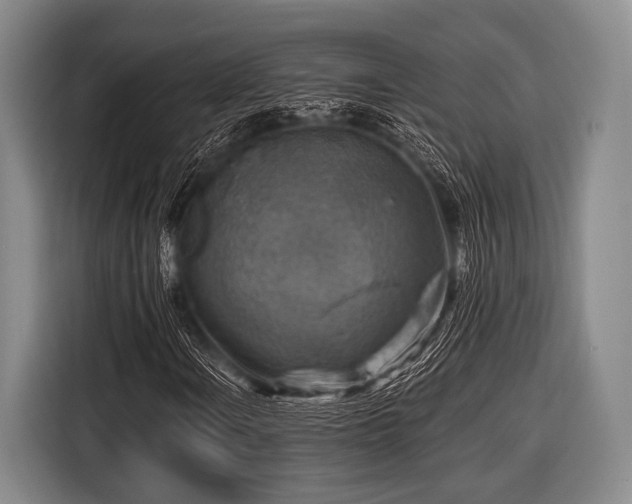 X0000116551106200912171343