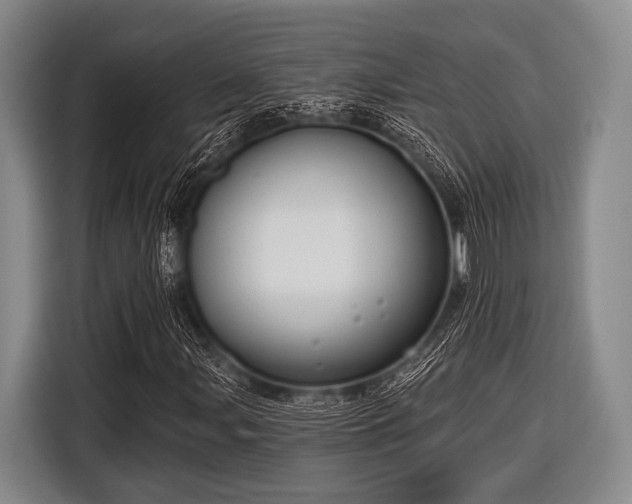 X0000116551107200912171343