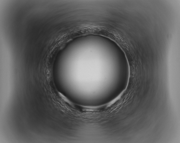 X0000116551109200912171343