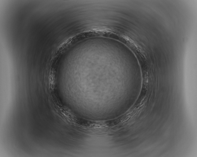 X0000116551110200912171343