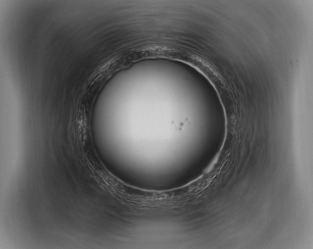 X0000116551111200912171343