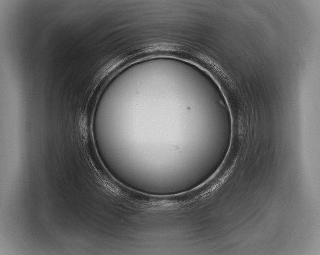 X0000116551113200912171343