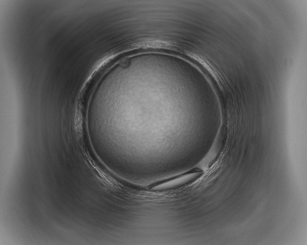 X0000116551115200912171343