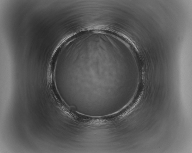 X0000116551117200912171343