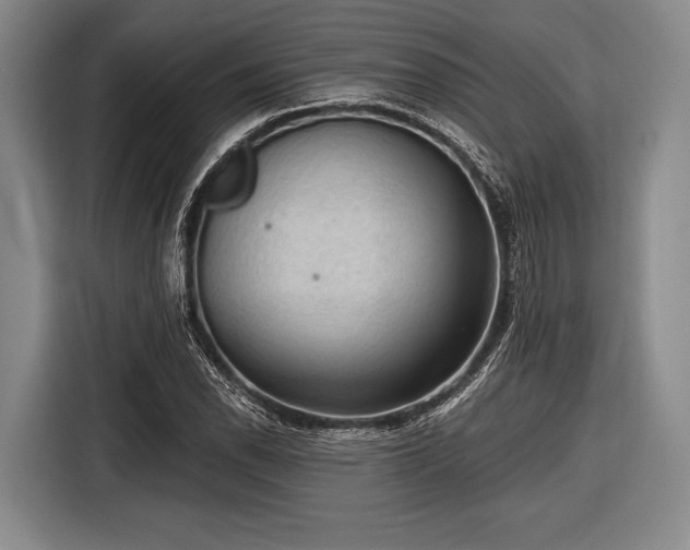 X0000116551118200912171343