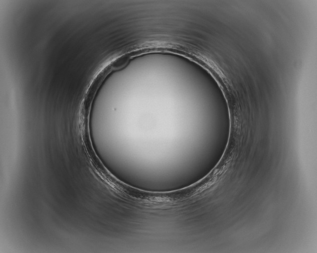 X0000116551119200912171343