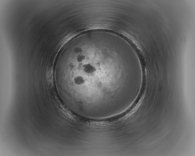 X0000116551121200912171343