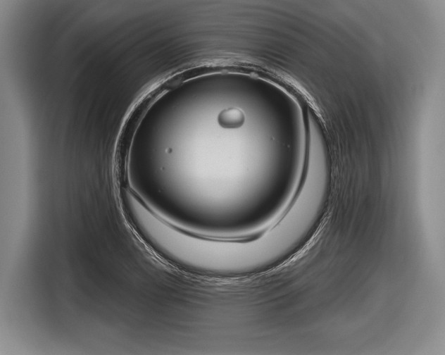 X0000116551122200912171343