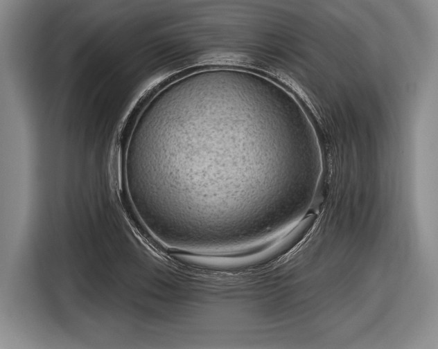 X0000116551123200912171343