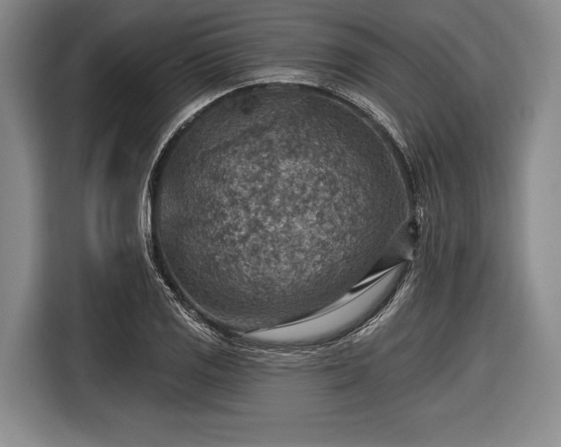 X0000116551125200912171343