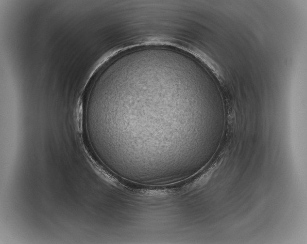 X0000116551126200912171343