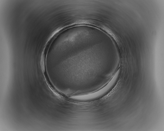 X0000116551127200912171343