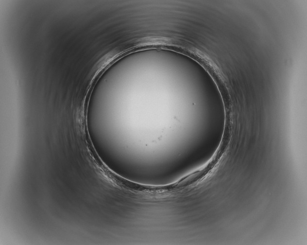 X0000116551129200912171344