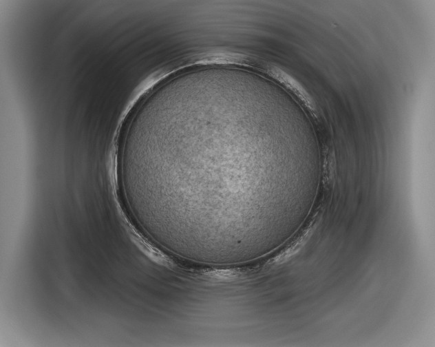 X0000116551130200912171344