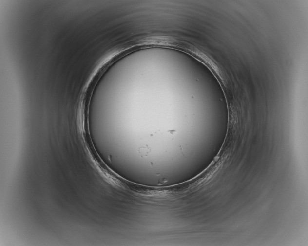 X0000116551131200912171344