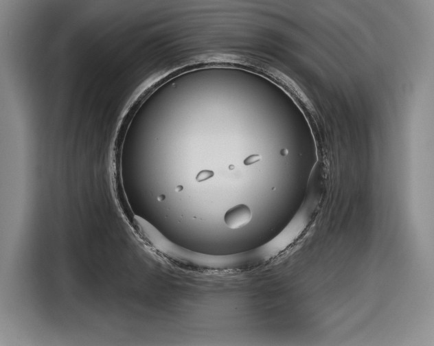 X0000116551133200912171344