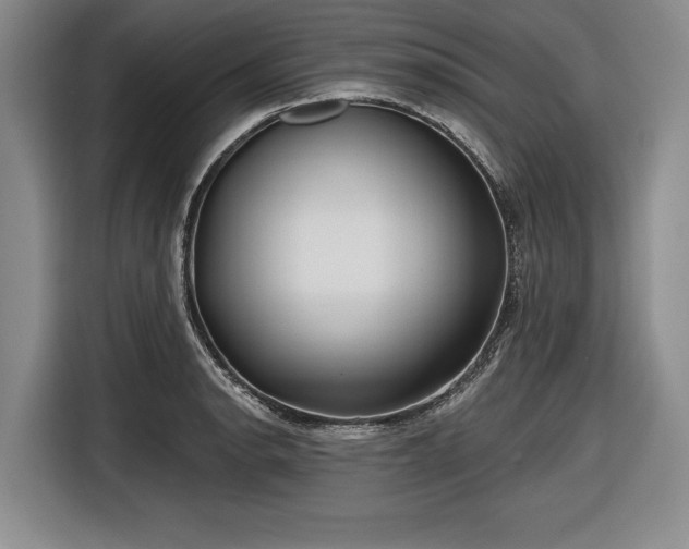 X0000116551134200912171344