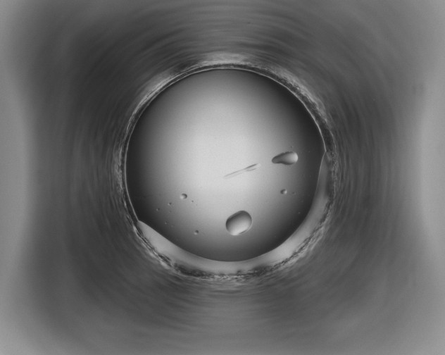 X0000116551137200912171344