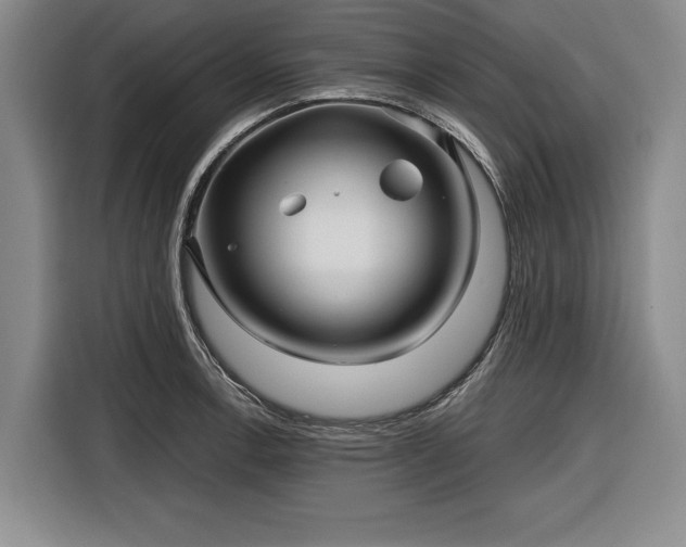 X0000116551138200912171344