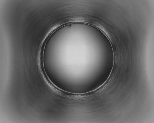 X0000116551139200912171344