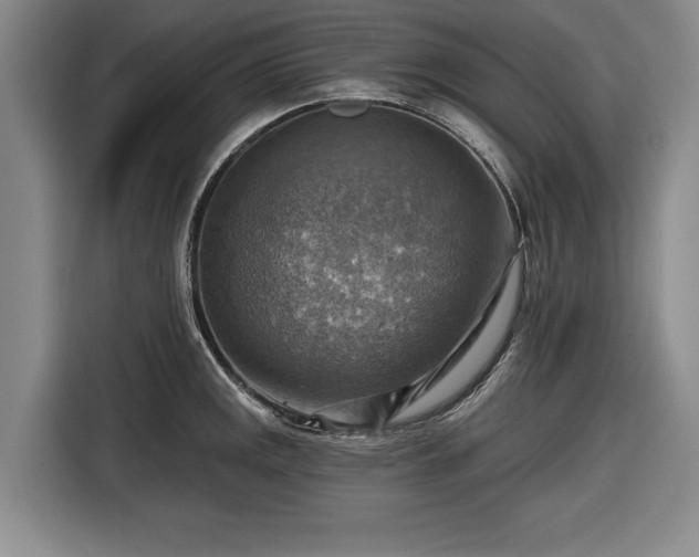 X0000116551141200912171344