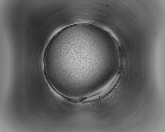 X0000116551143200912171344