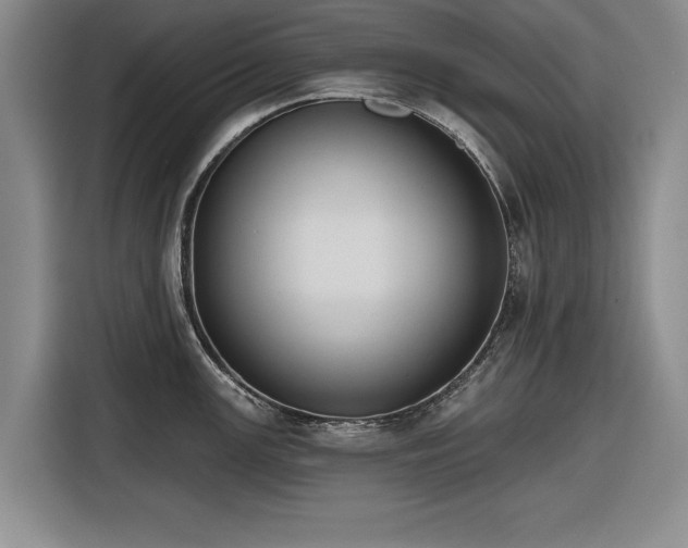 X0000116551147200912171344