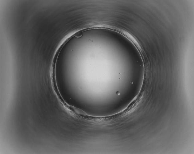 X0000116551149200912171344