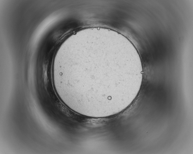 X0000116551150200912171344