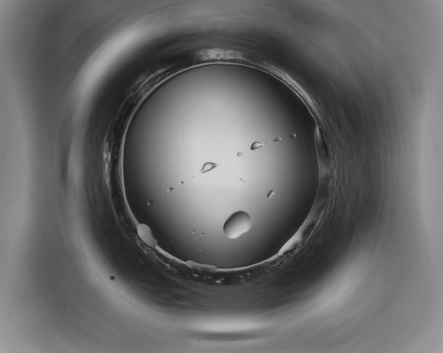 X0000116551151200912171344