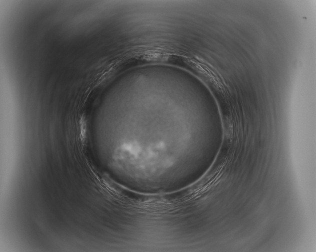 X0000116551154200912171343