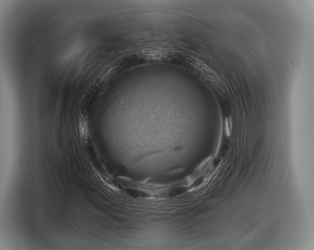 X0000116551155200912171343