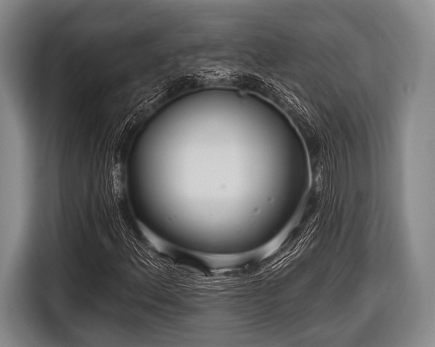 X0000116551156200912171343