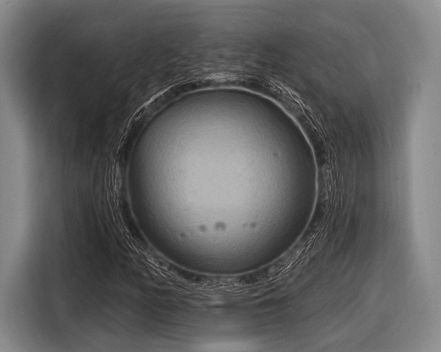 X0000116551158200912171343