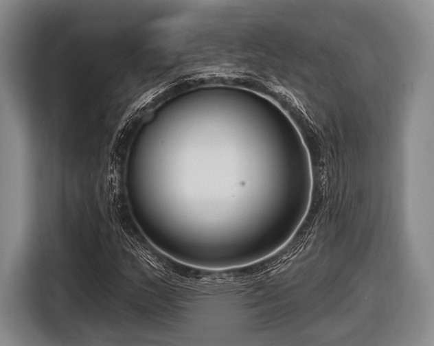 X0000116551159200912171343