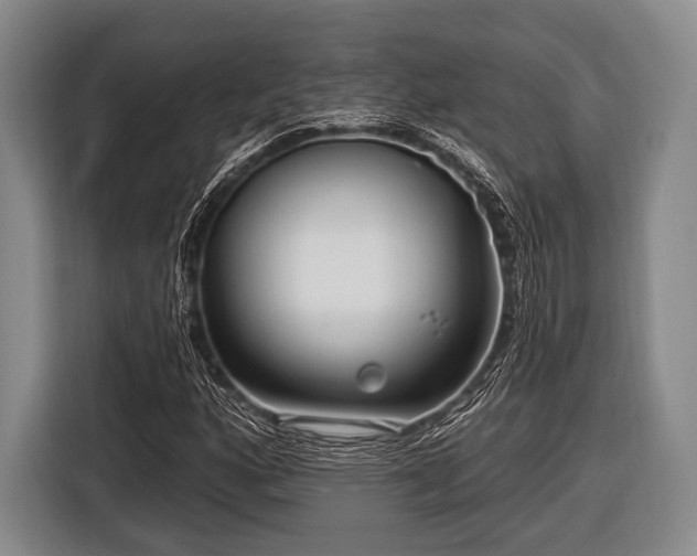 X0000116551160200912171343