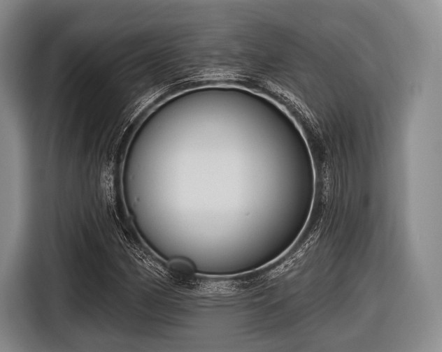 X0000116551162200912171343