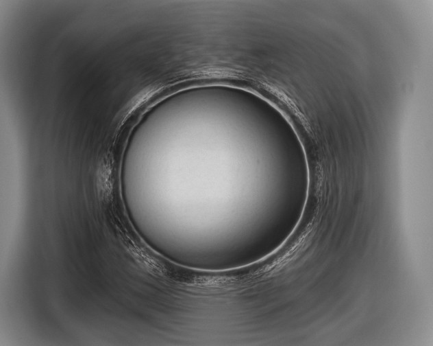 X0000116551163200912171343