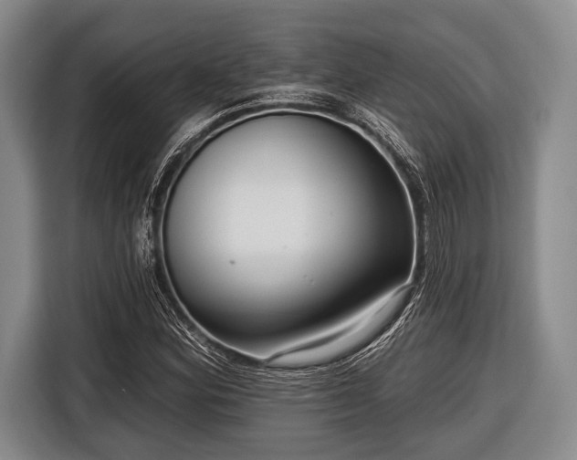 X0000116551164200912171343