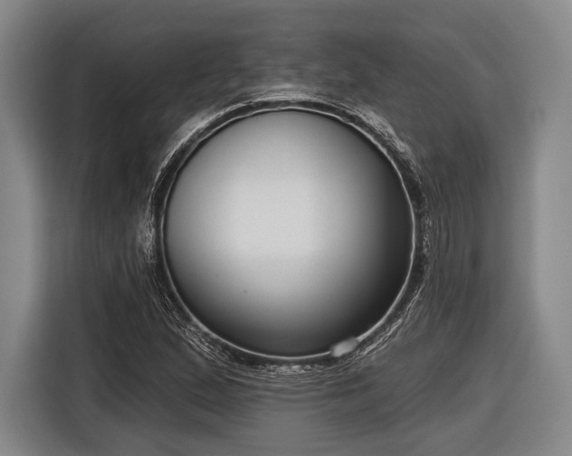 X0000116551167200912171343