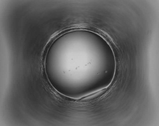 X0000116551168200912171343