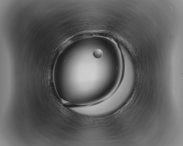 X0000116551169200912171343