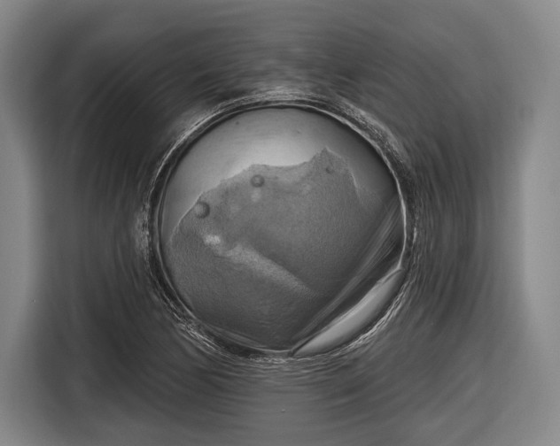 X0000116551170200912171343