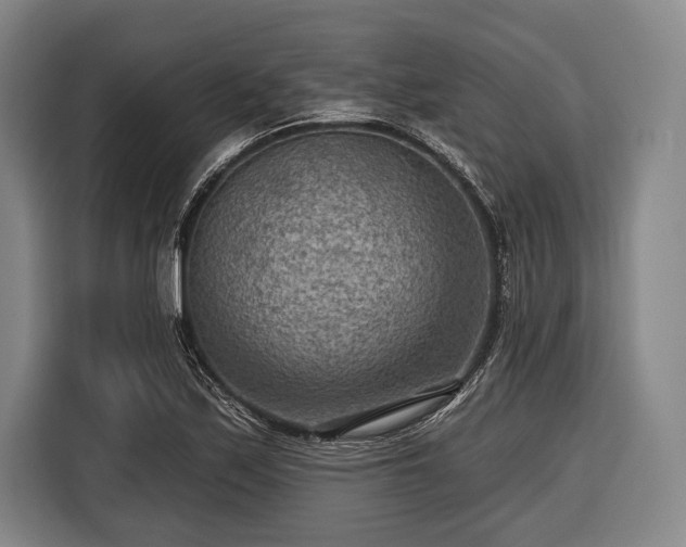 X0000116551171200912171343